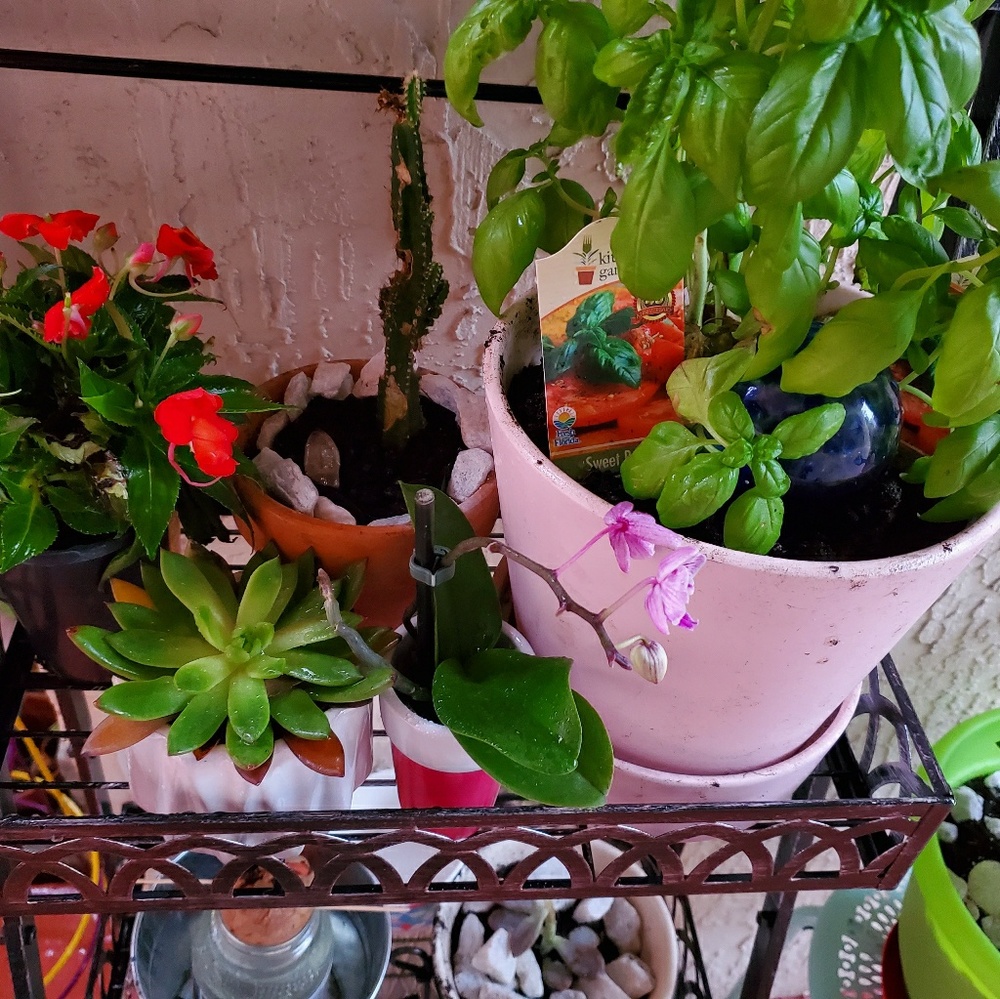 Meet your Posher, Kimberley